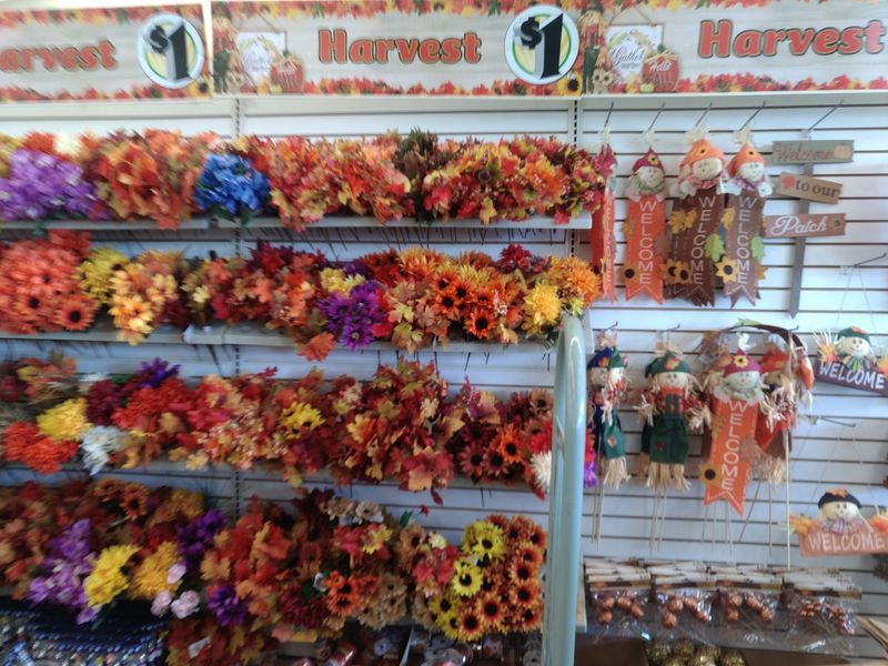 Dollar Tree - Orlando