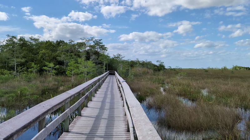Pa-hay-okee Trail - Everglades National Park