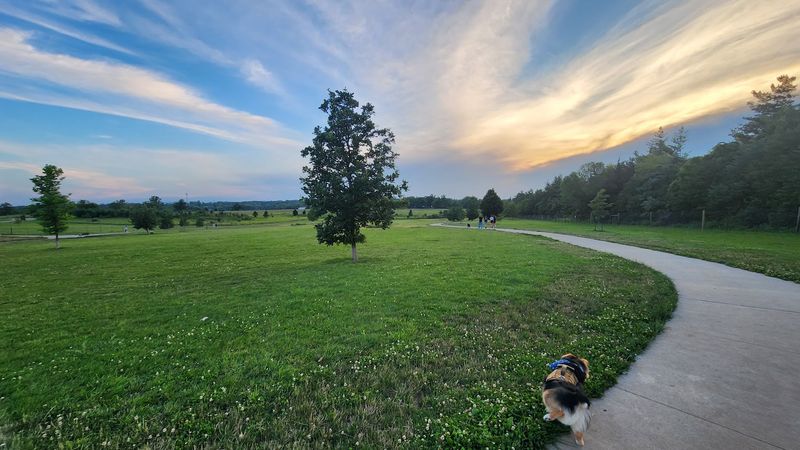 K9 Acres Off-Leash Area - Marion