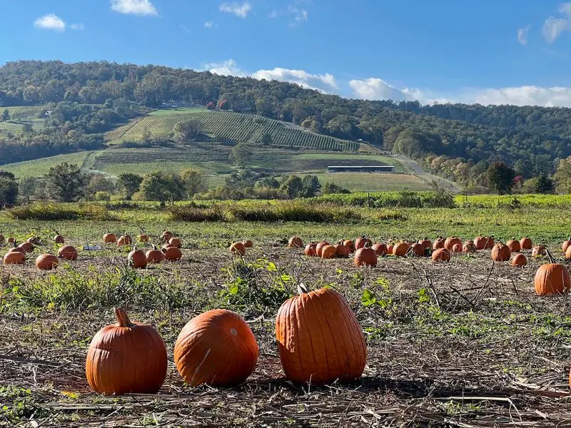 Great Country Farms