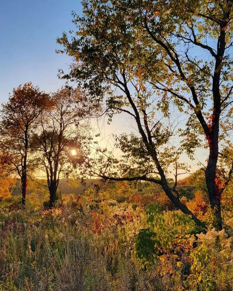 Ice Age Trail Blackhawk Segment, Kettle Moraine State Forest, Walworth County