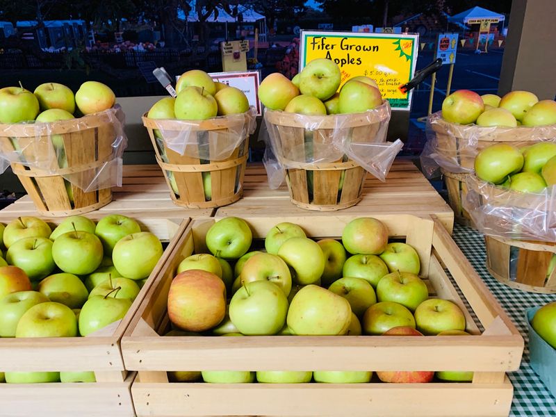 Fifer's Farm Store & Kitchen - Camden-Wyoming