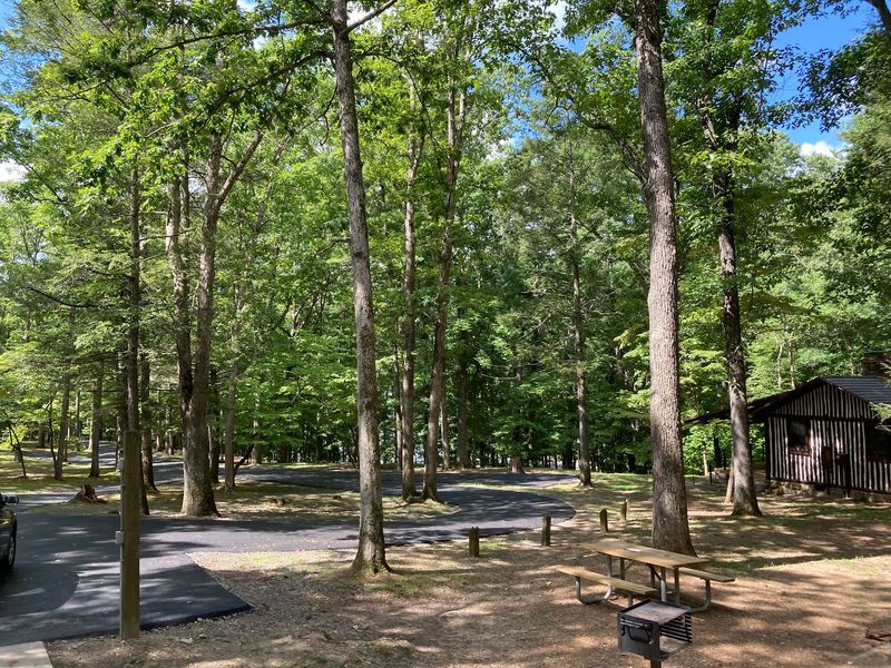 Douthat State Park