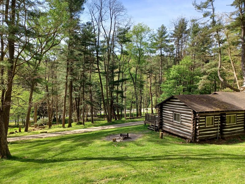 Cook Forest