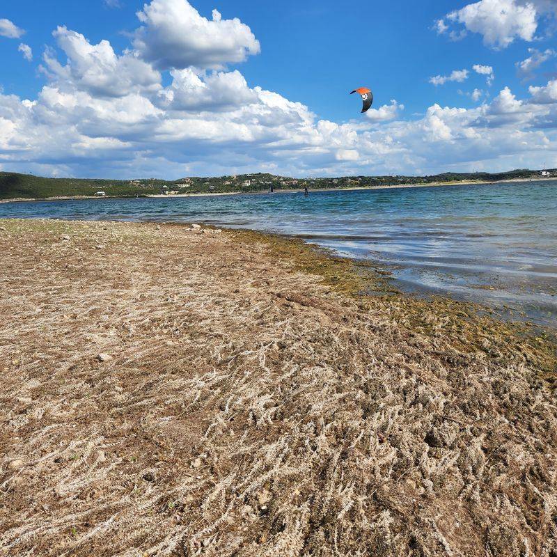 Low Water, Big Questions