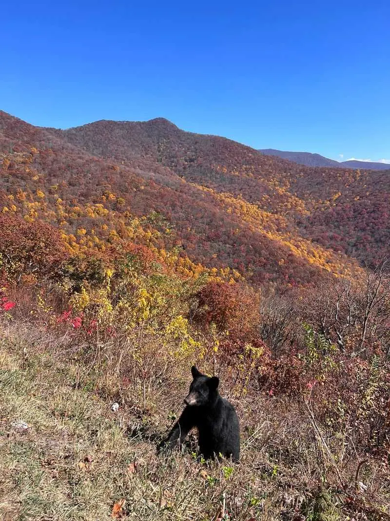 Why This Overlook Feels Different From Busier Stops