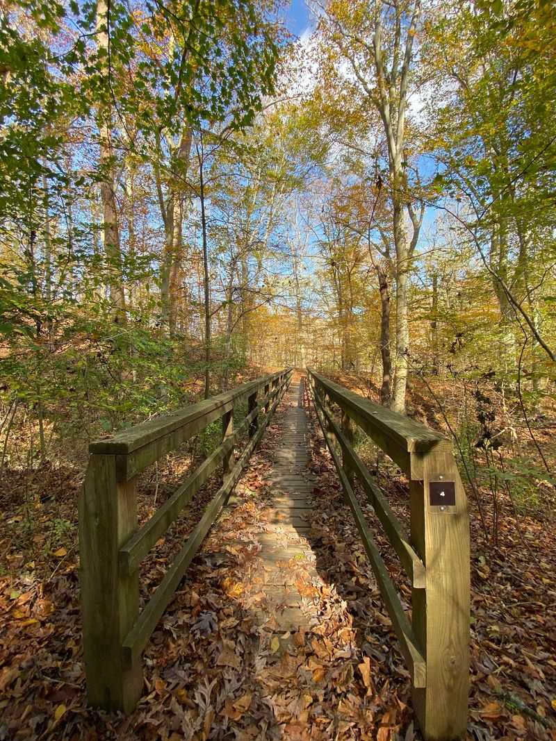 Brandywine Creek State Park - Wilmington