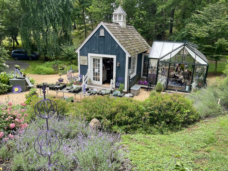 Blooming Hill Lavender Farm - Purcellville