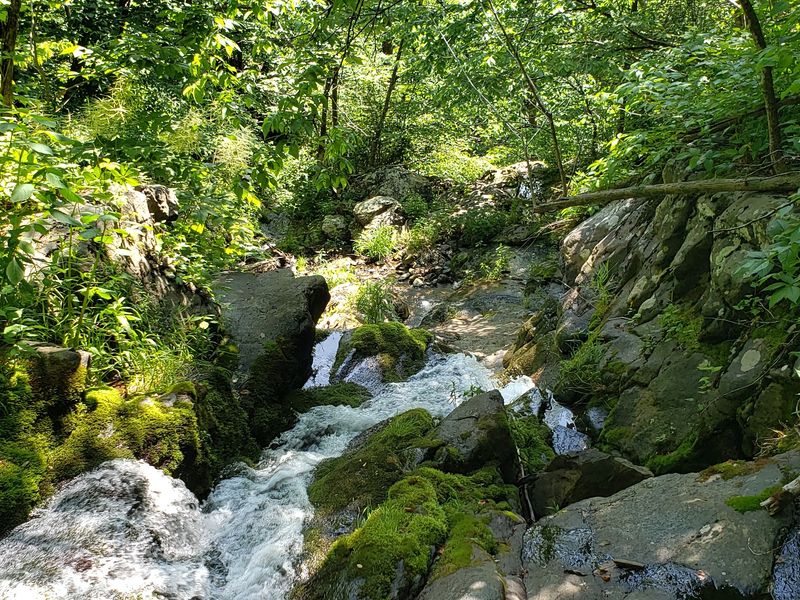 Doyle&rsquo;s River Falls Trail - Crozet