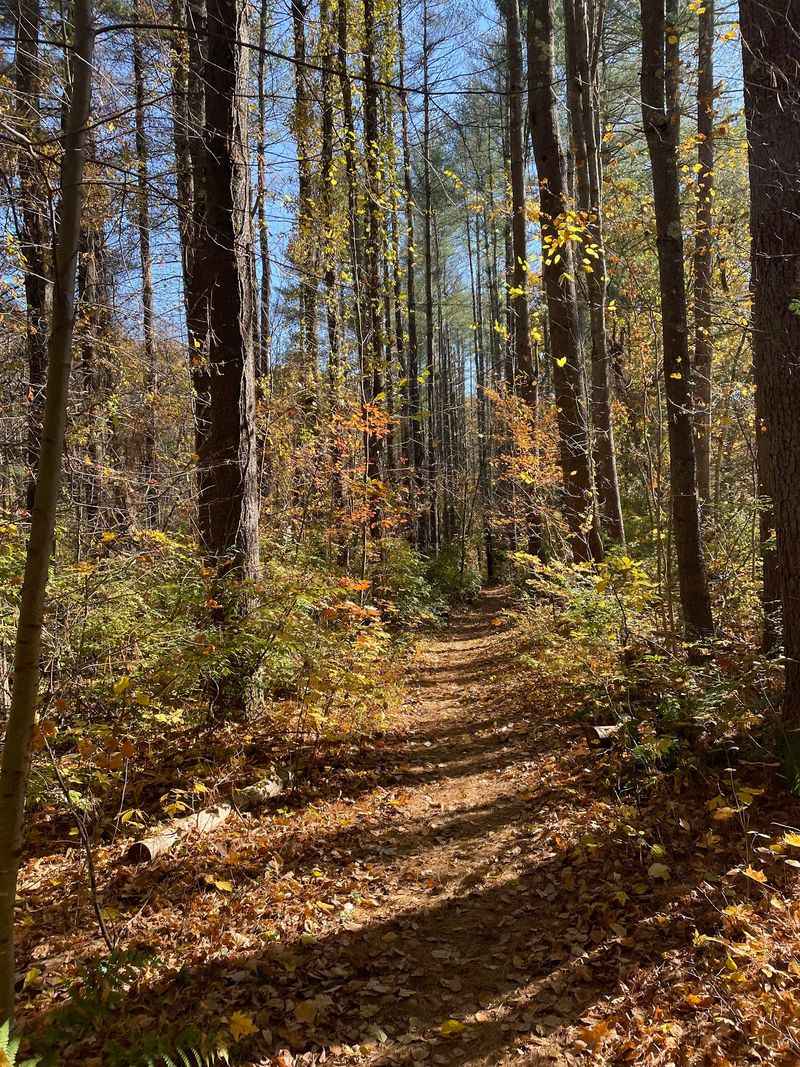 A Trail for Every Kind of Day