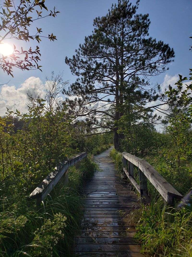 Seney National Wildlife Refuge in Seney, Schoolcraft County