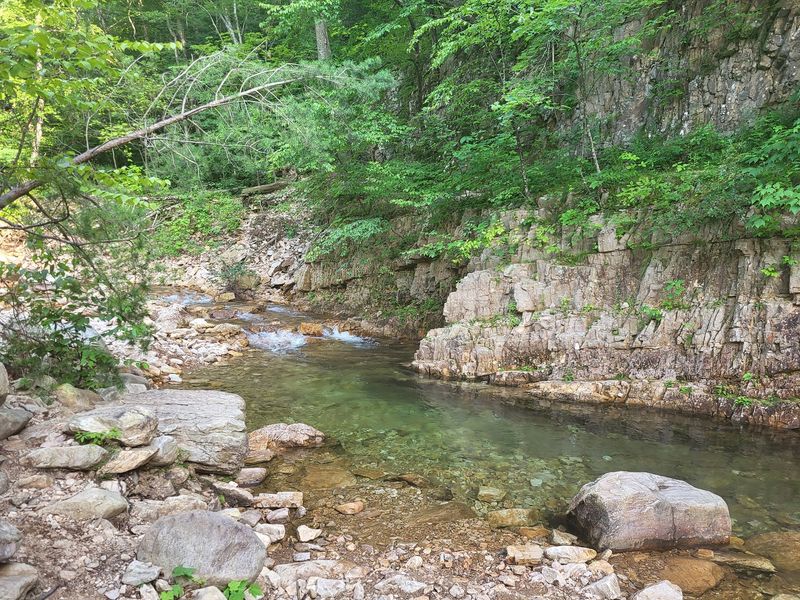 St. Mary&rsquo;s Wilderness - Raphine