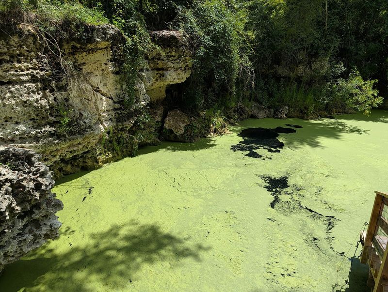 Cold Spring Water and Changing Conditions