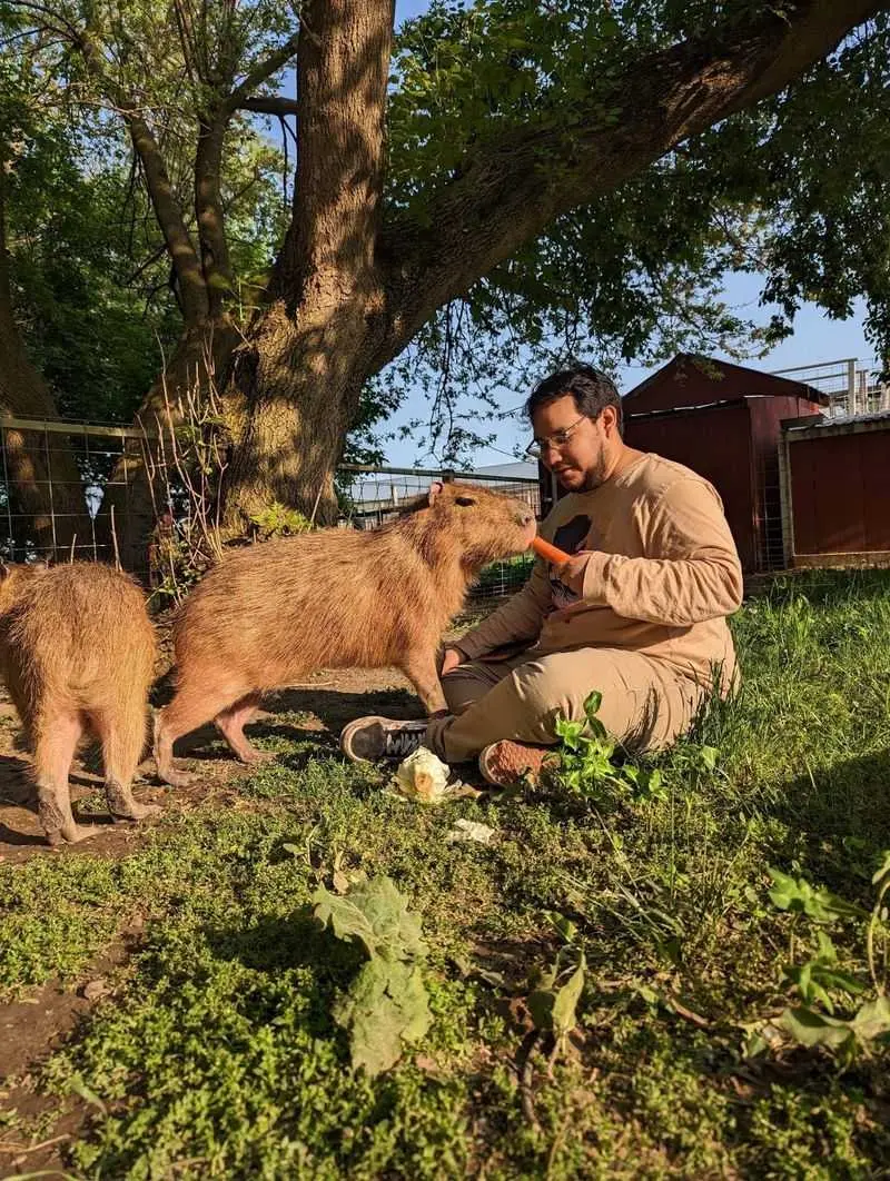 Hands-On Farm Memories Close to Racine - Jo-Don Farms in Caledonia, Racine County