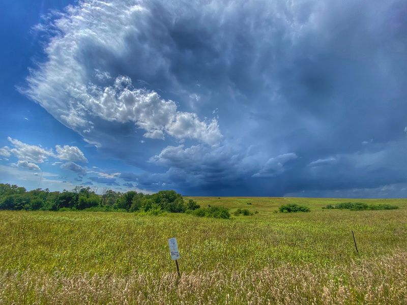 A Rare Look At Iowa's Tallgrass Prairie