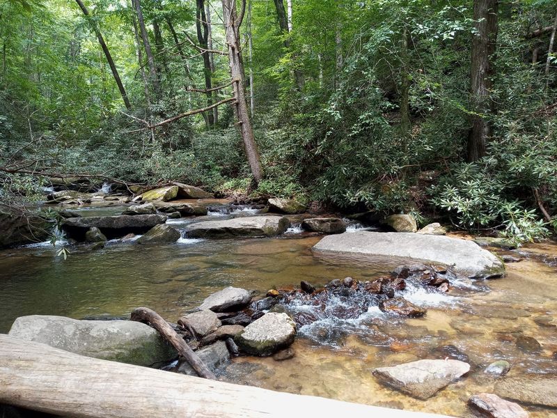 Reedy Cove Creek - Cleveland