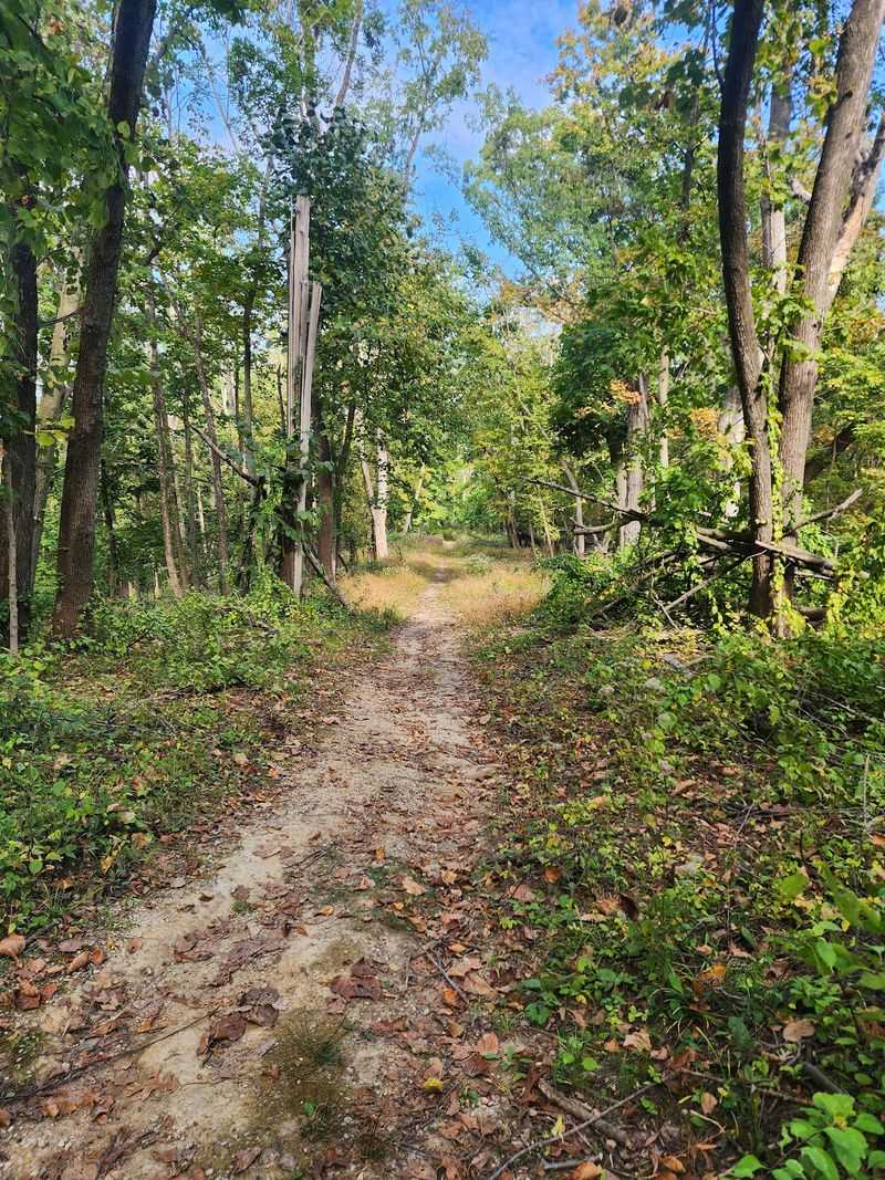 Woodpecker Trail