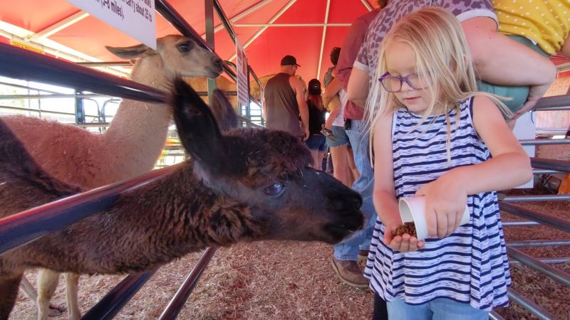 Amber Brooke Farms - Eustis