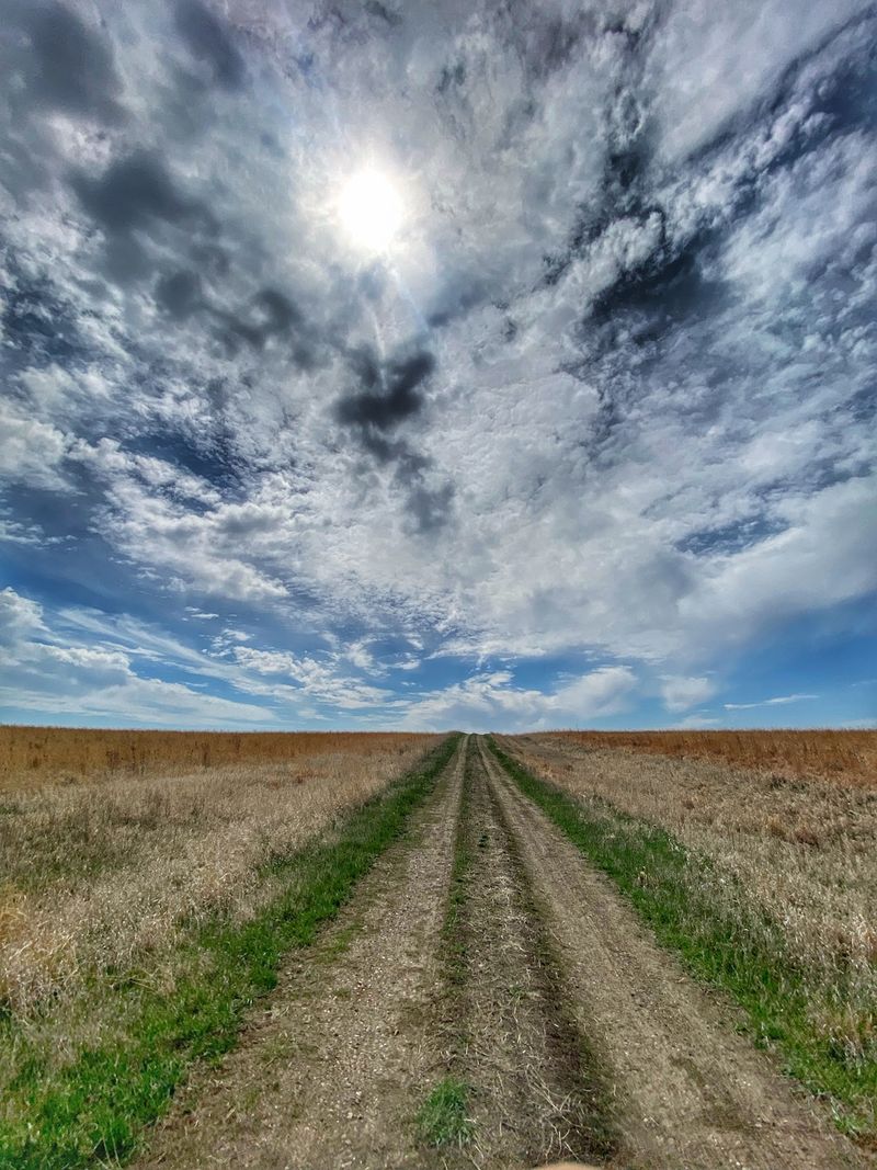 Trails Through The Tallgrass