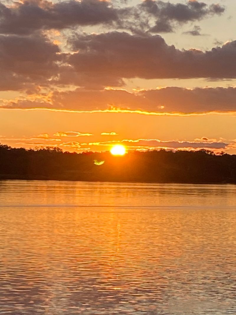 Sunset Cruises With Dinner and City Lights