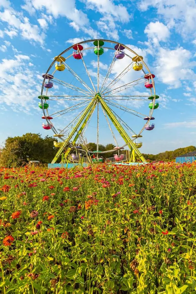 Mainstay Farm in Cleburne, Johnson County