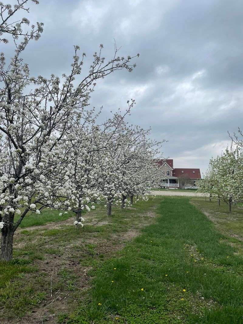 Stag Run Farms - Georgetown