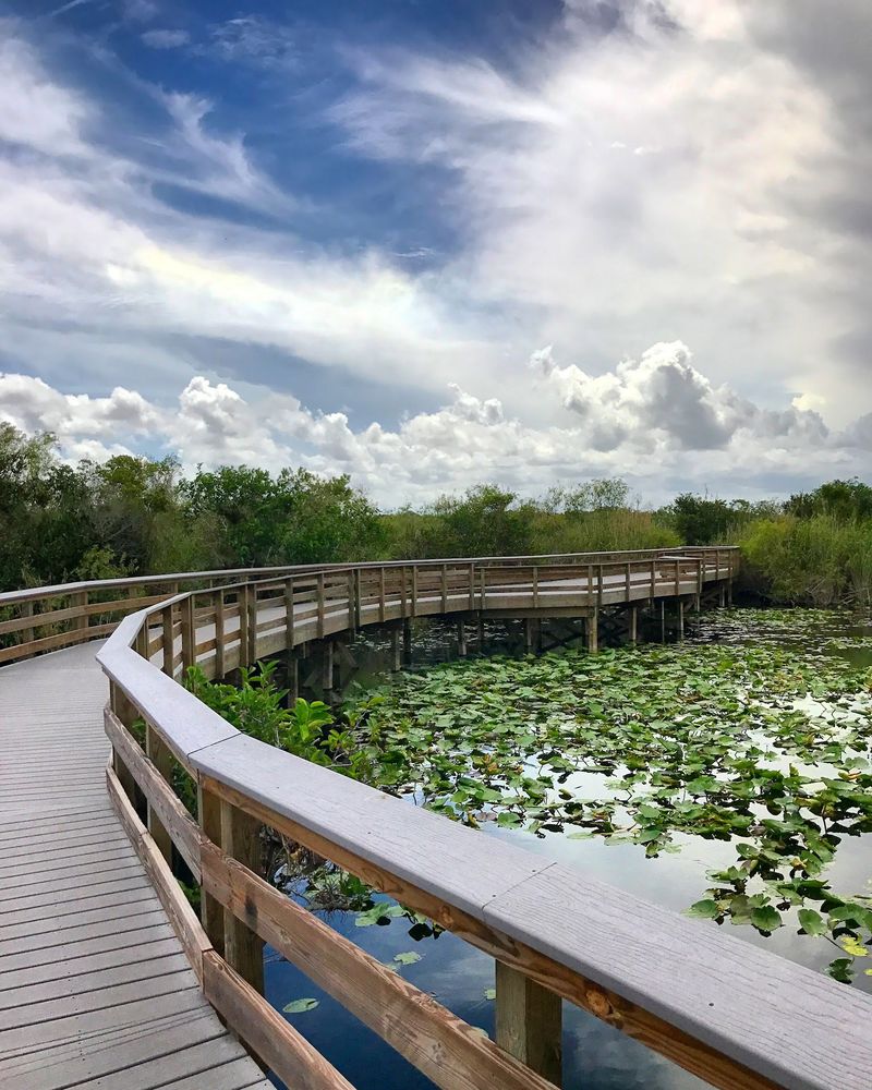 Anhinga Trail - Everglades National Park