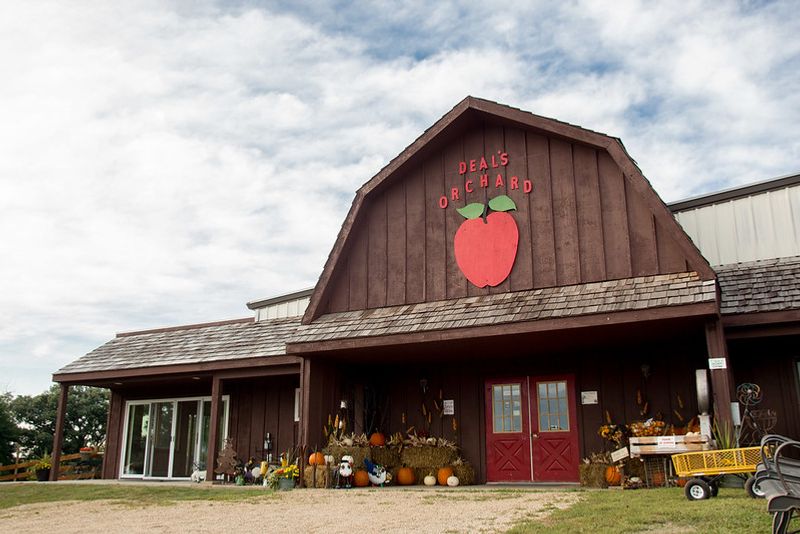 Deal's Orchard - Jefferson