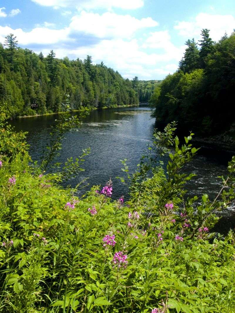 Water Roar in the North Woods - Tahquamenon Falls River Trail, Paradise, Chippewa County