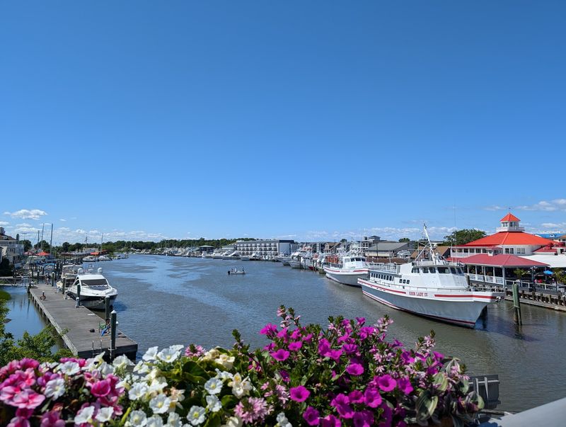 Boast the Coast Maritime Festival
