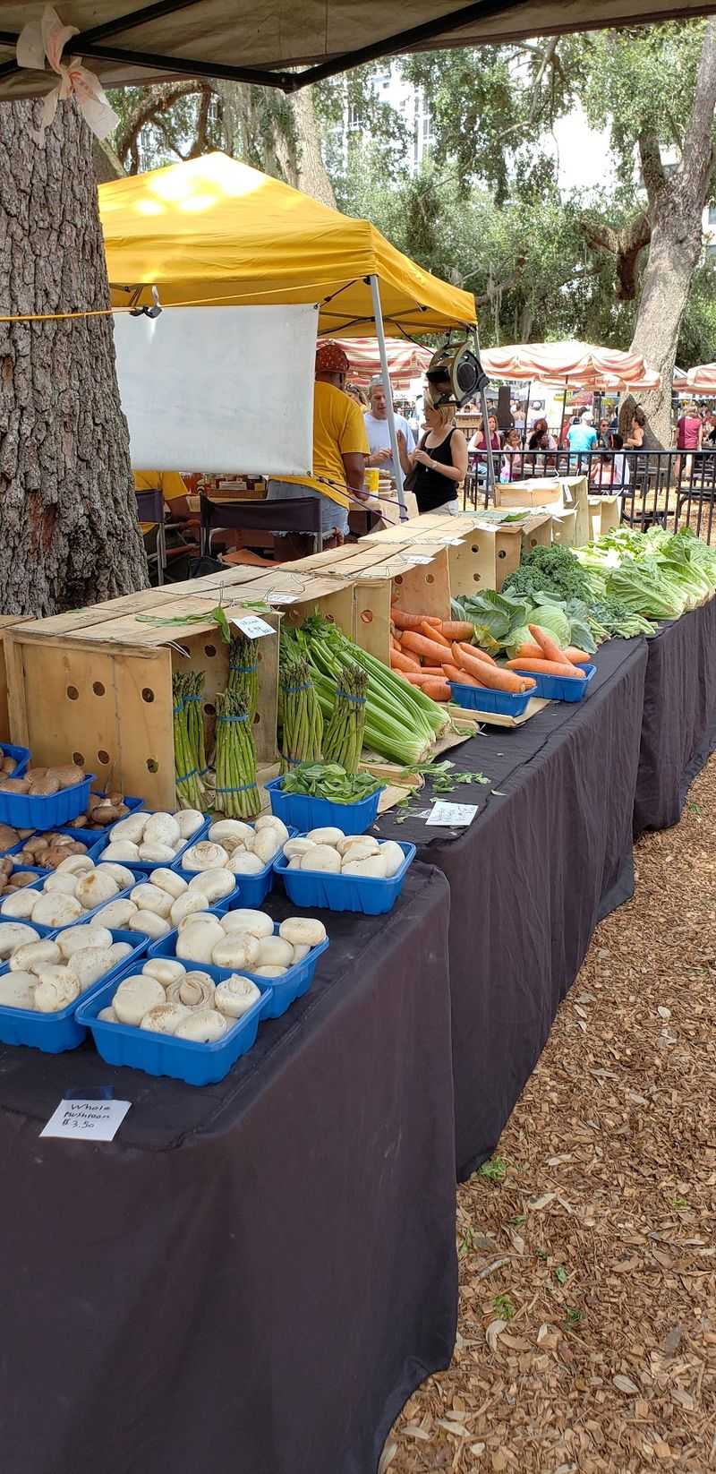 Orlando Farmers Market
