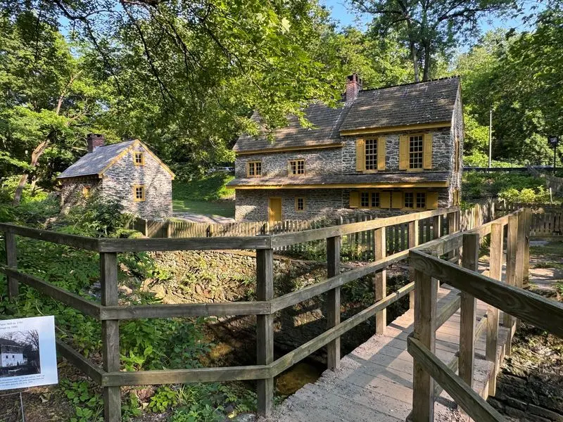Curves, Stone, and Woodland Drama