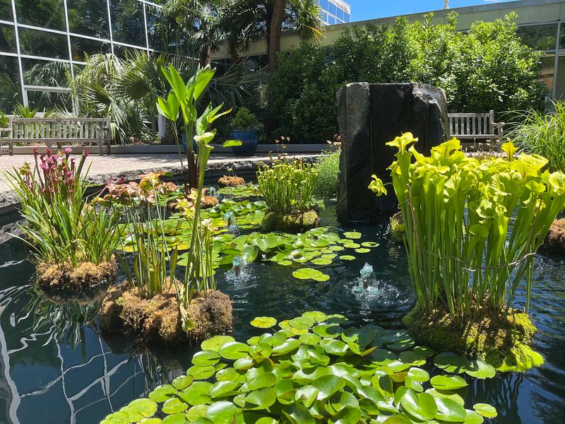 The Conservatory Offers a Different Pace