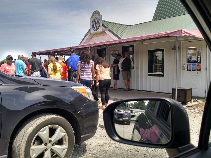 Hopkins Farm Creamery - Lewes
