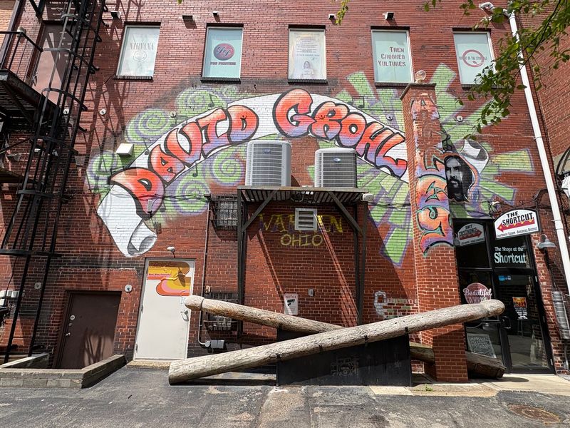 David Grohl Alley & Giant Drumsticks - Warren
