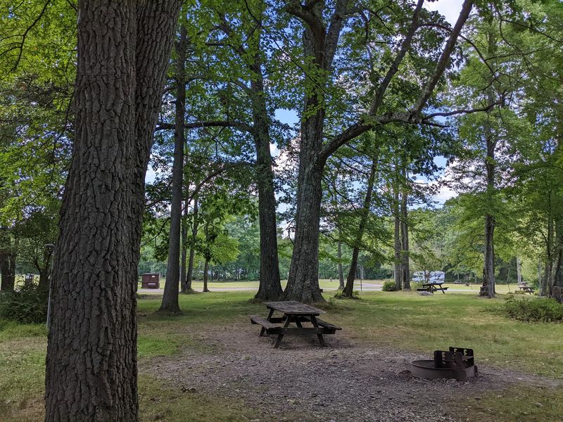 Hickory Run State Park, White Haven