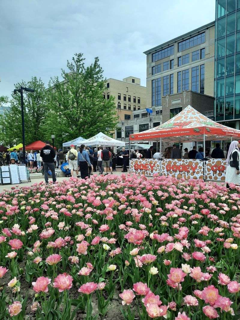 A Madison Tradition With Staying Power