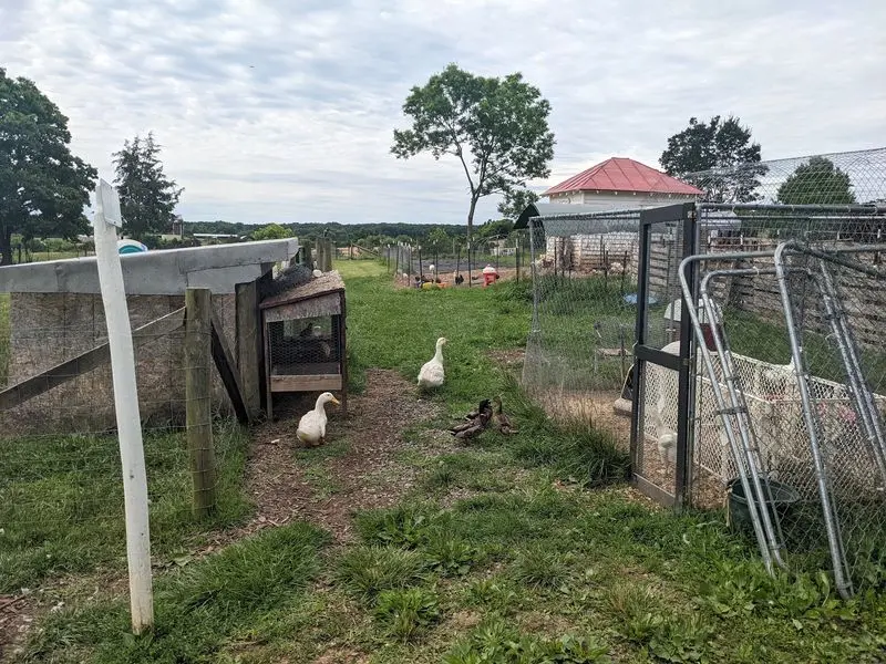 Happy Meadow Farm - Unionville