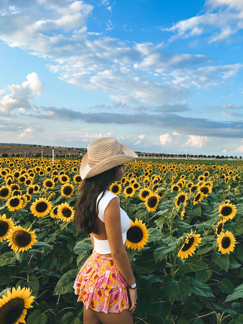 The Fields Were Made for Beautiful Photos