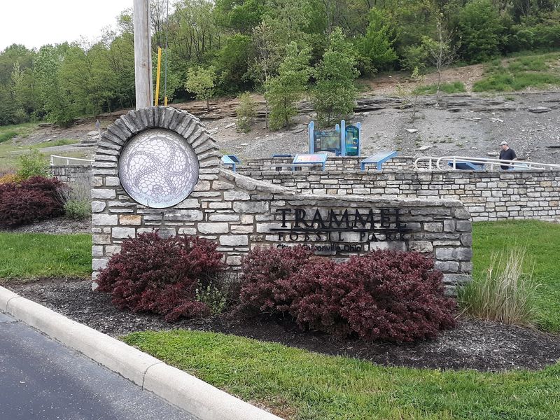 Trammel Fossil Park Is a Real Fossil-Hunting Playground