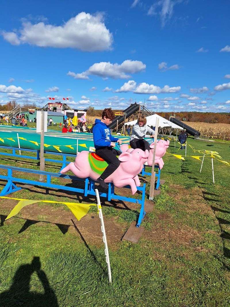 The Courtyard Is Packed With Farm-Themed Fun