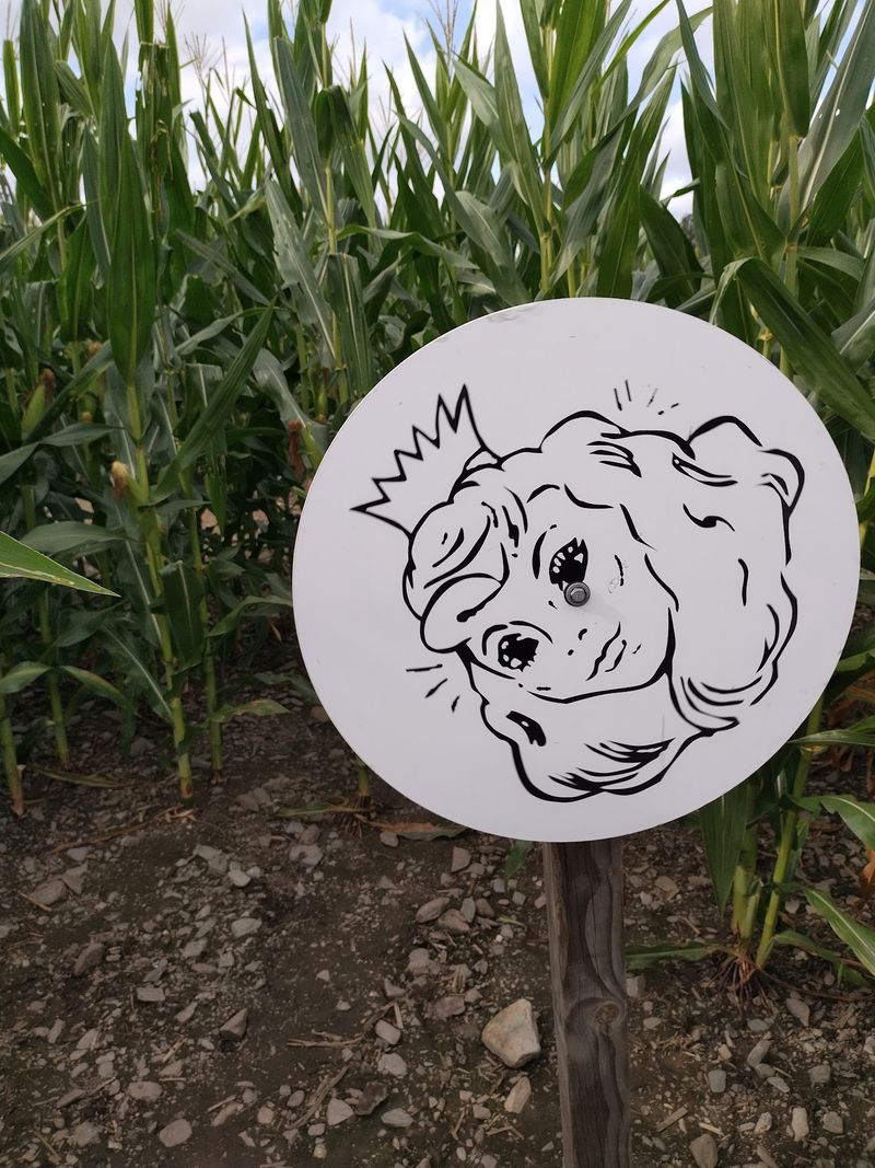 The Maze Turns Getting Lost Into a Game