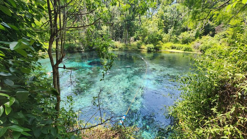 A 72-Degree Spring That Stays Refreshing All Year