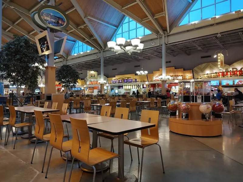 Stop For Rainforest Café, Miyako And Other Dining Options
