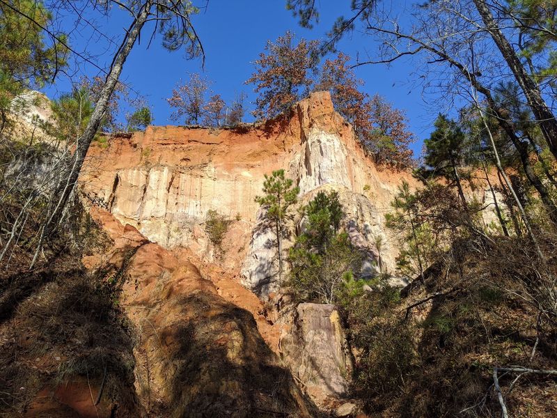 The Rim Offers A Completely Different View