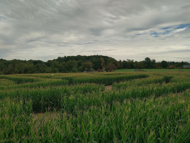 The 8-Acre Maze Is the Main Attraction