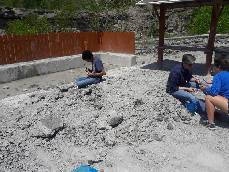 Bring A Brush And Something To Carry Your Fossils