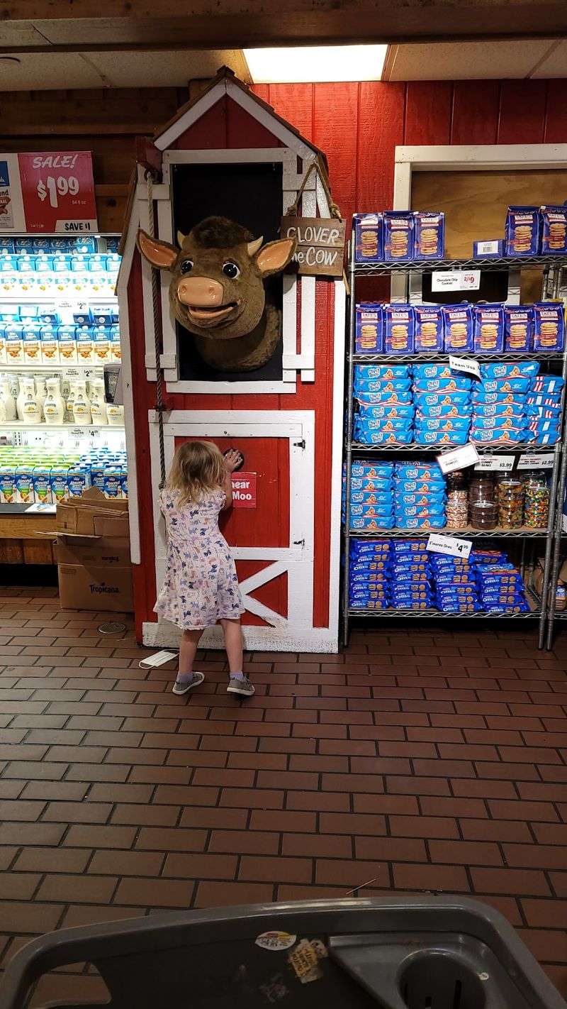Follow the Sound of the Singing Cows
