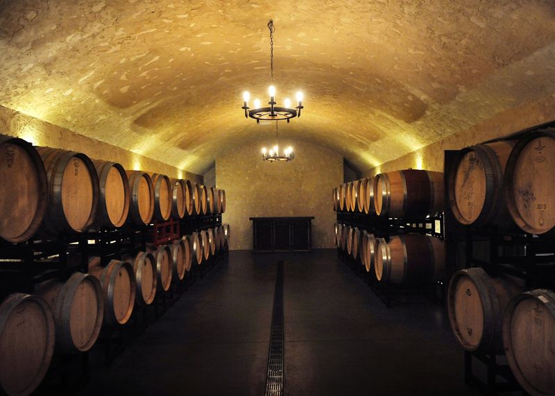 The Secret Beneath the Vines