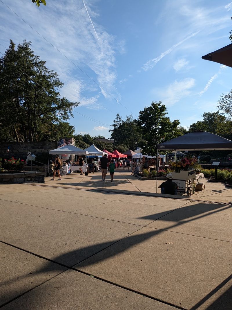 A Park Setting That Feels Like a Weekly Celebration